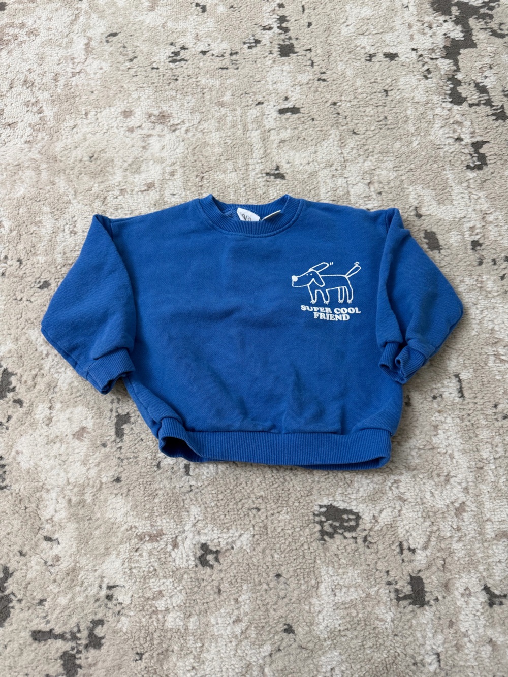 Zara Blue Graphic Pullover Crewneck Size 12-18 Months